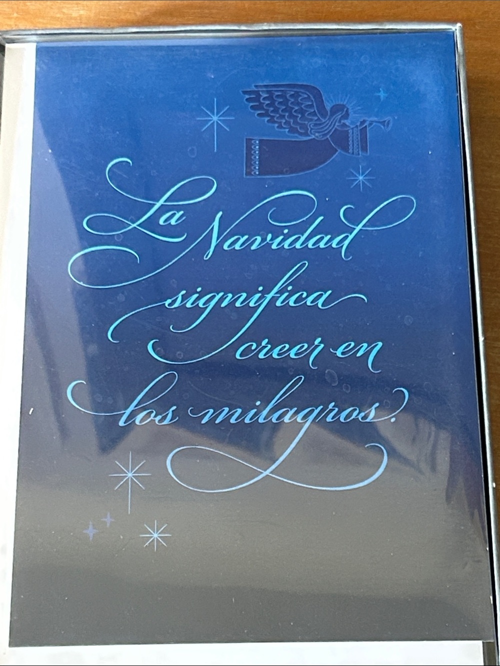 Hallmark VIDA Gray and White Spanish Holiday Card Set